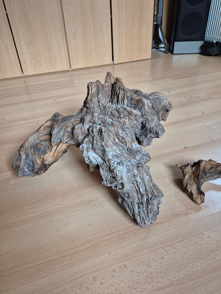 kienhout, Dieren en Toebehoren, Vissen | Aquaria en Toebehoren, Ophalen of Verzenden, Zo goed als nieuw, Plant(en), Steen of Hout
