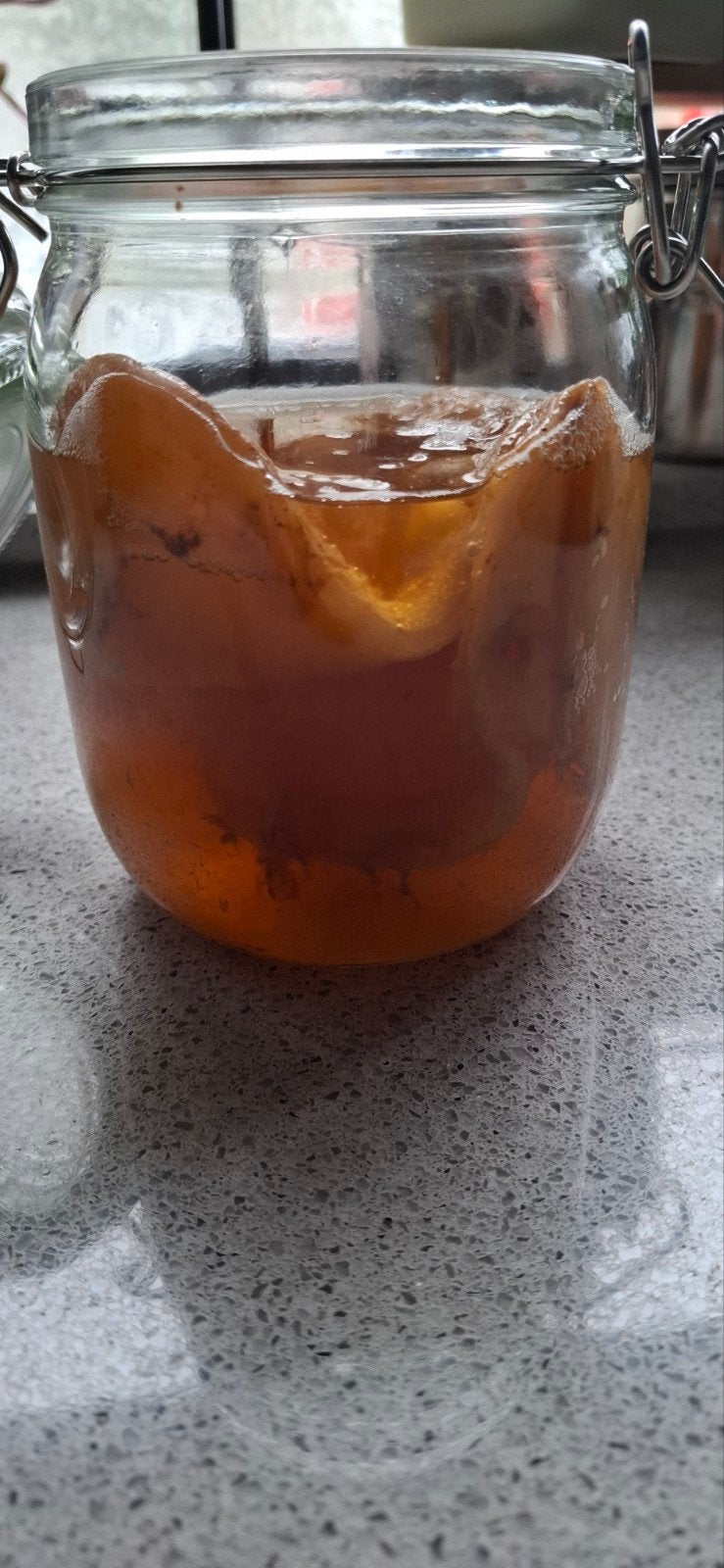 scoby voor kombucha, Ophalen