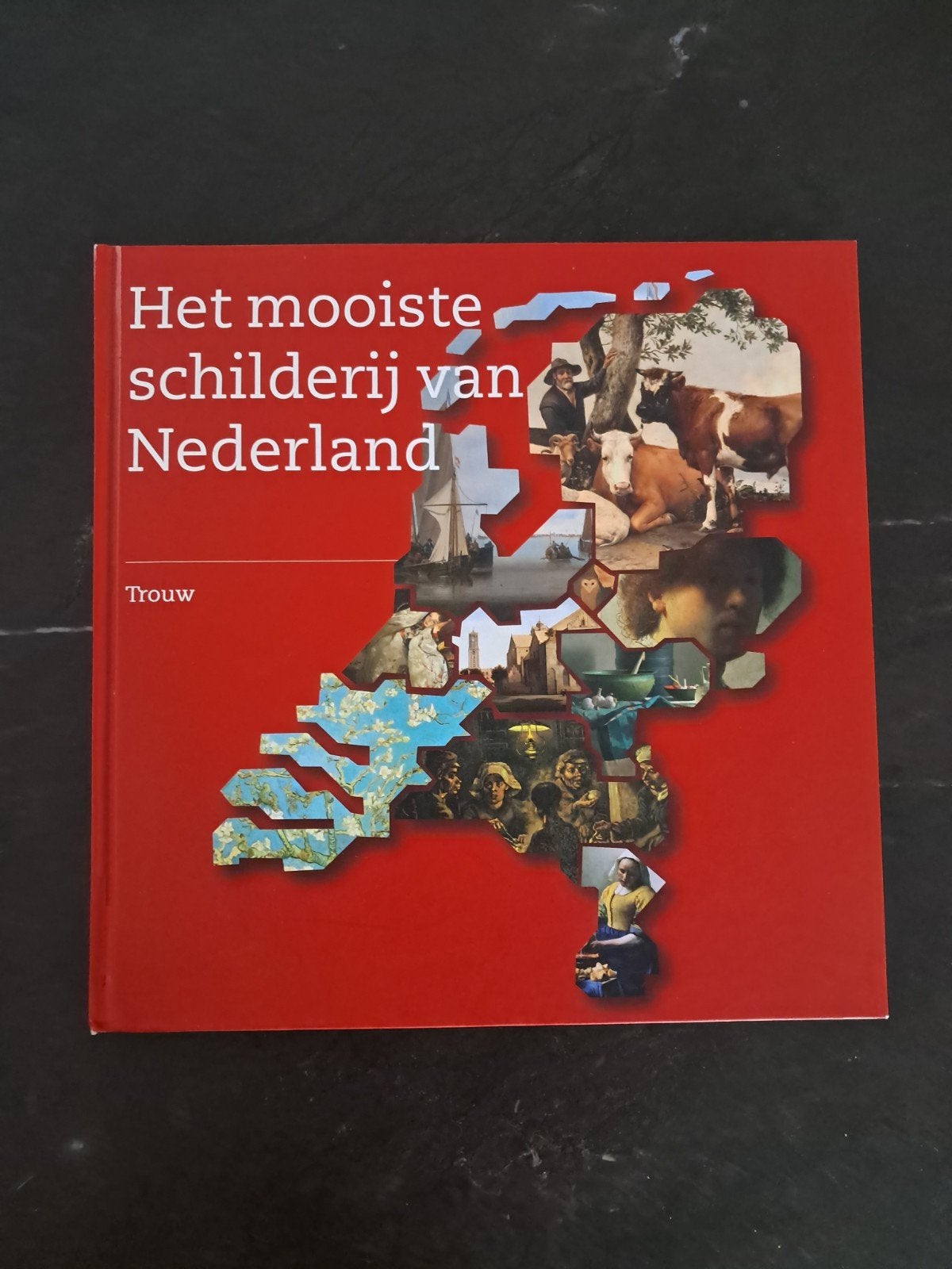 S. Kooke - Mooiste schilderij van Nederland, Ophalen of Verzenden, Zo goed als nieuw, S. Kooke; H. de Lange
