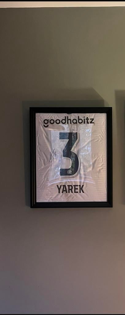 Matchwornshirt Yarek Gasiorowski te koop, Sport en Fitness, Maat L, Verzenden, Nieuw, Shirt