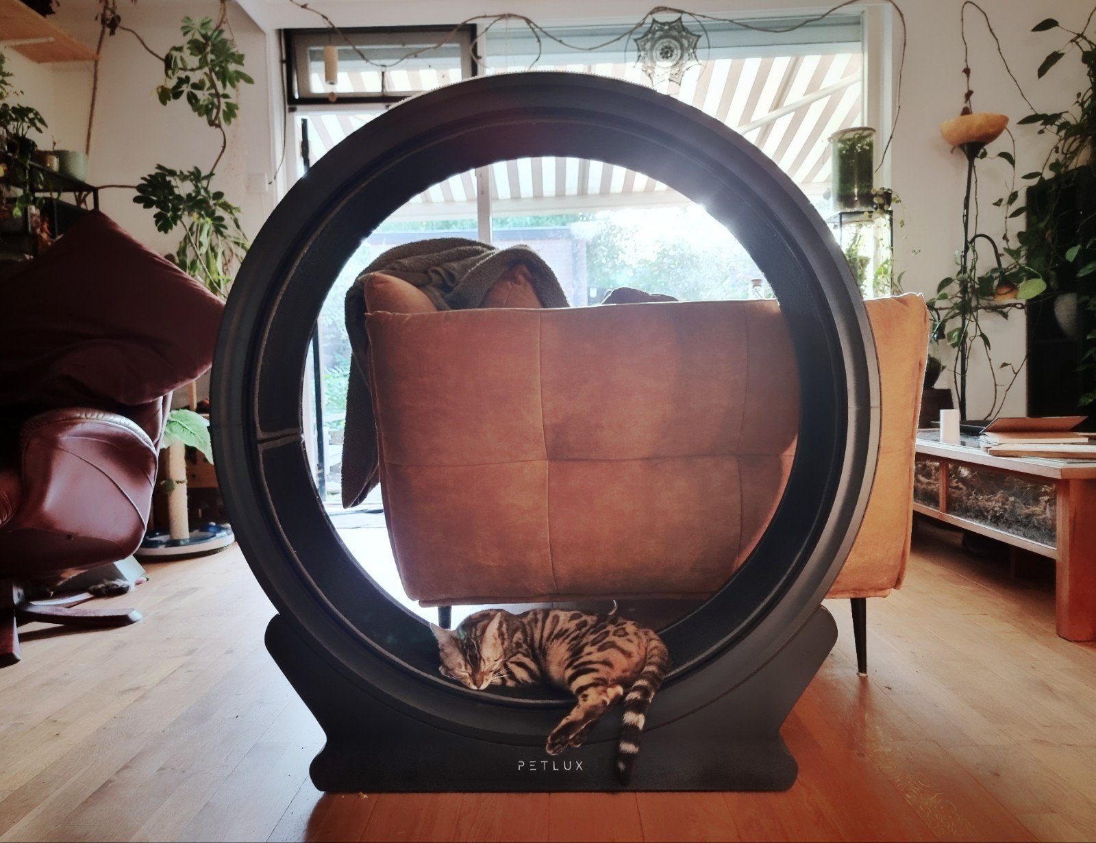 Petlux V2 zwart - Loopwiel voor kat, Dieren en Toebehoren, Ophalen