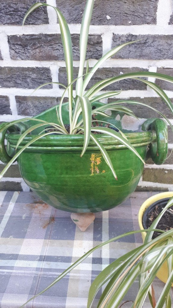 Vintage jardiniere/plantenhanger/hangbloempot Frankrijk BIOT, Ophalen of Verzenden