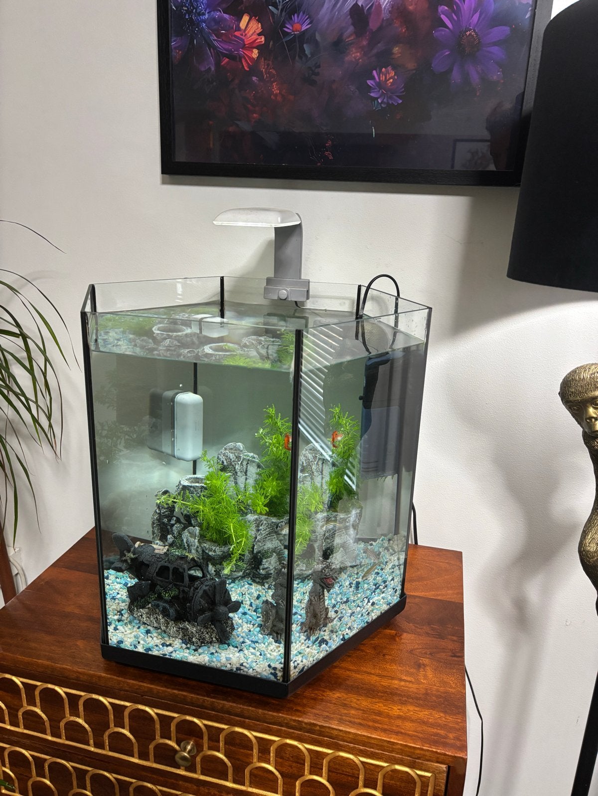 Aquarium 50 liter compleet met accessoires, Ophalen of Verzenden, Inclusief toebehoren, Gebruikt, Leeg aquarium