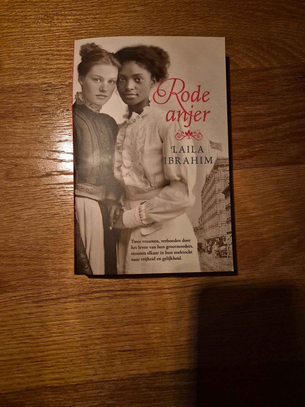 Rode Anjer - Laila Ibrahim (Roman), Ophalen of Verzenden, Nieuw, Laila Ibrahim, Amerika