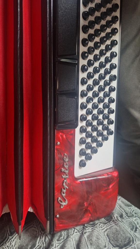 Weltmeister Caprice Accordeon 120 bas, Met koffer, Zo goed als nieuw, 120-bas, Weltmeister