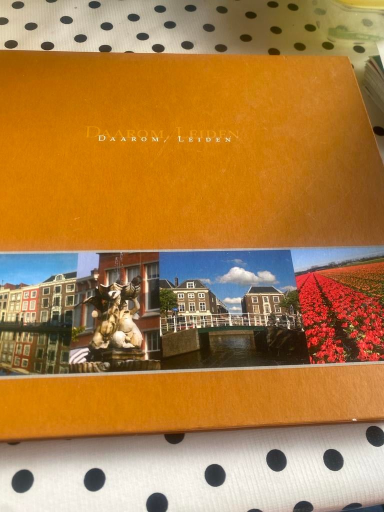 DAAROM LEIDEN - Boek over Leiden, Ophalen of Verzenden, 20e eeuw of later, Gelezen