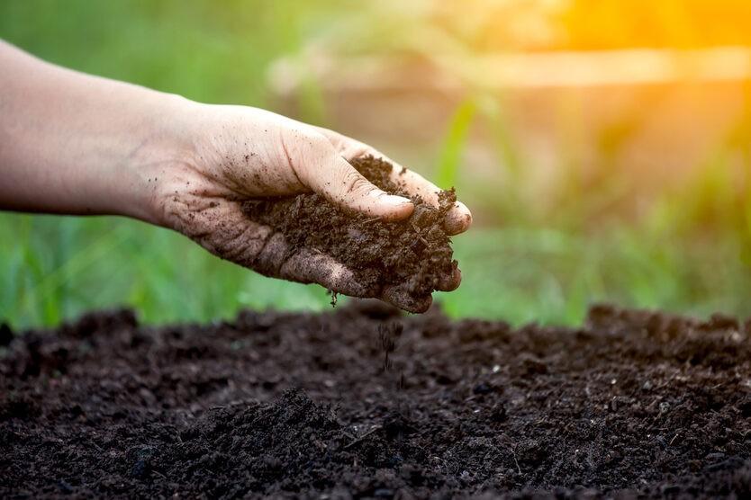 Compost gezocht, Ophalen