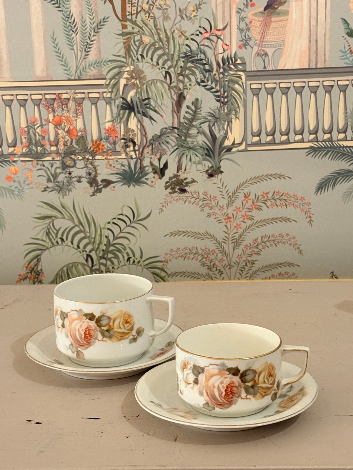Vintage Thomas Bavaria Kop en Schotel - Rozen Decor, Ophalen of Verzenden