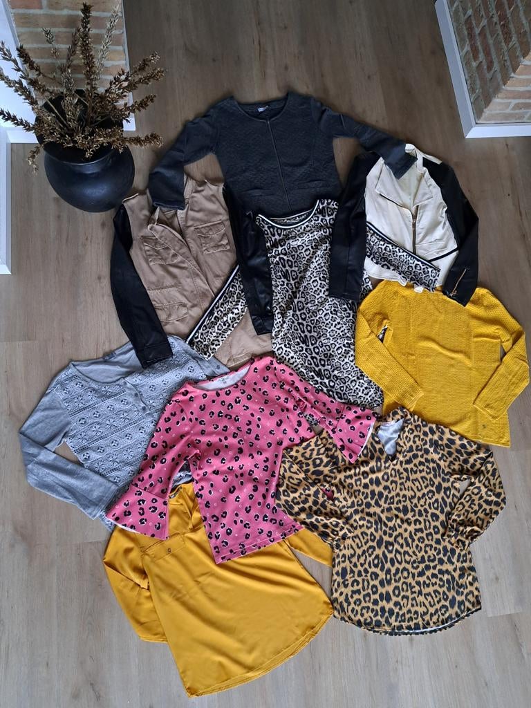 Moderne kledingpakket merkkleding dameskleding maat l 42, Ophalen of Verzenden, Zo goed als nieuw, Maat 42/44 (L)