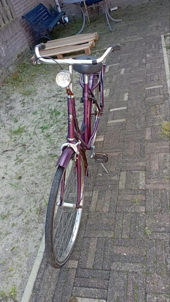 Batavus Butterfly 26 inch paarse meisjesfiets, Ophalen