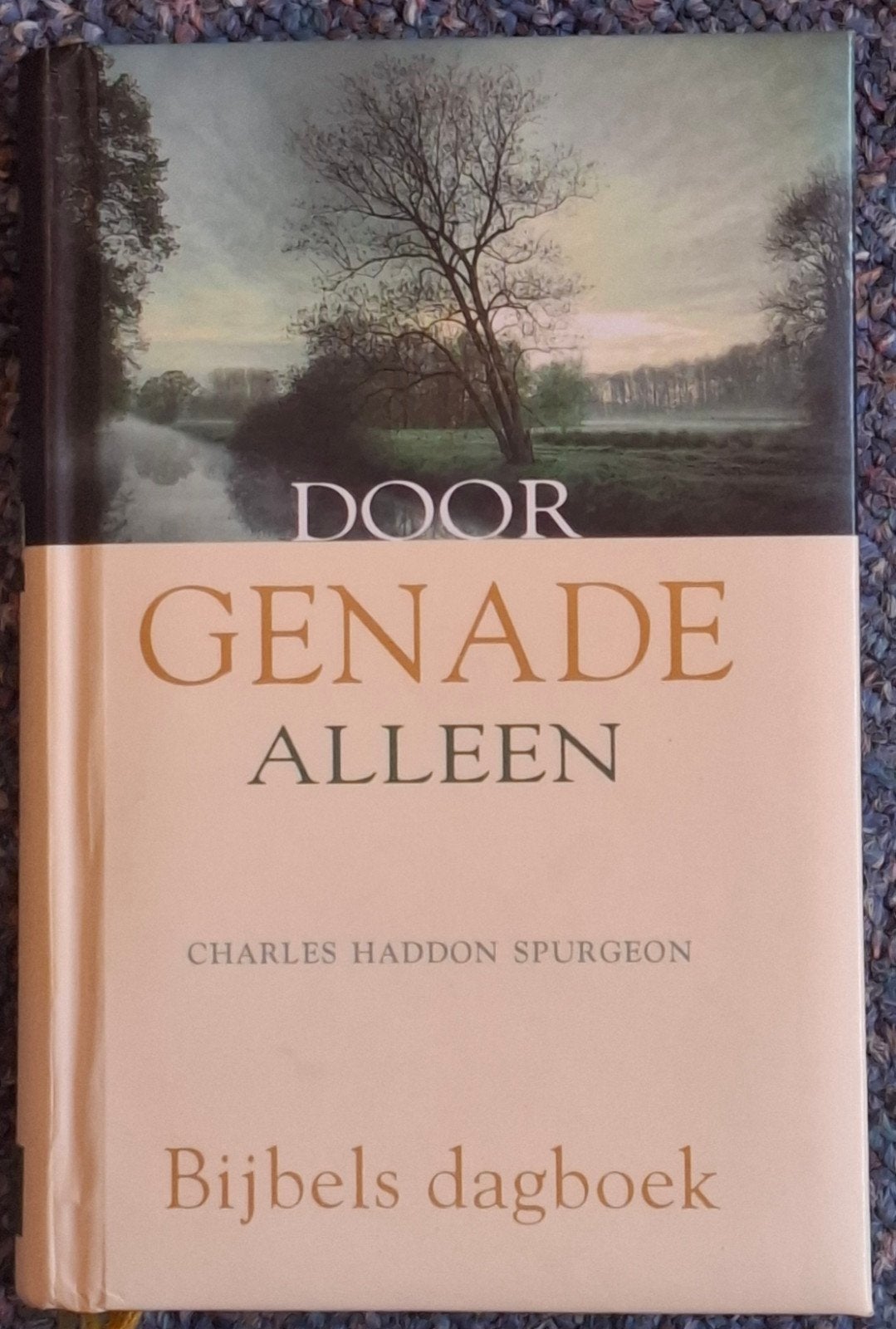 Charles Haddon Spurgeon - Door genade alleen, Boeken, Christendom | Protestants, Ophalen of Verzenden, Zo goed als nieuw, Charles Haddon Spurgeon