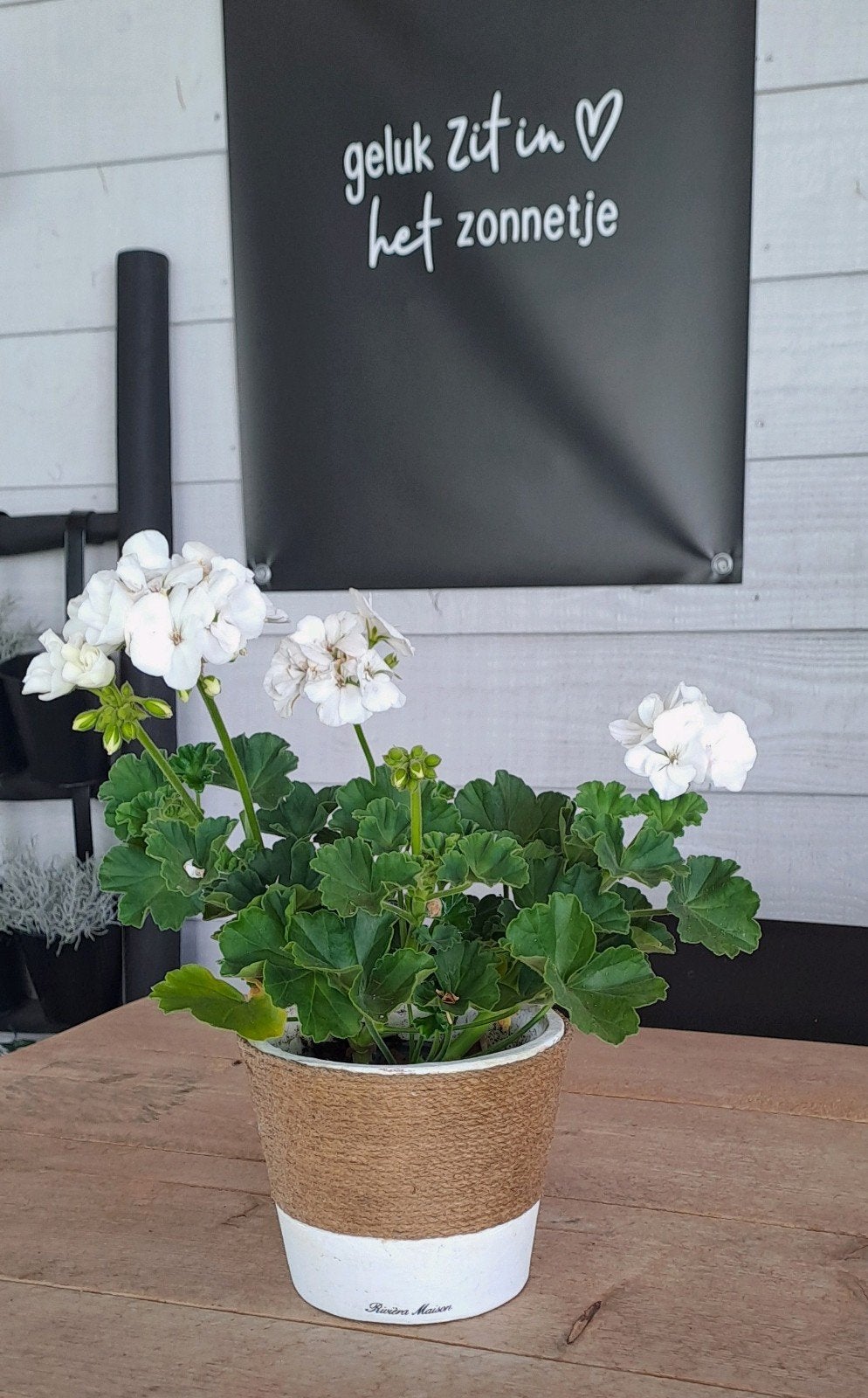 Bloempot van Riviera Maison, Rond, Ophalen of Verzenden, Aardewerk, Minder dan 40 cm