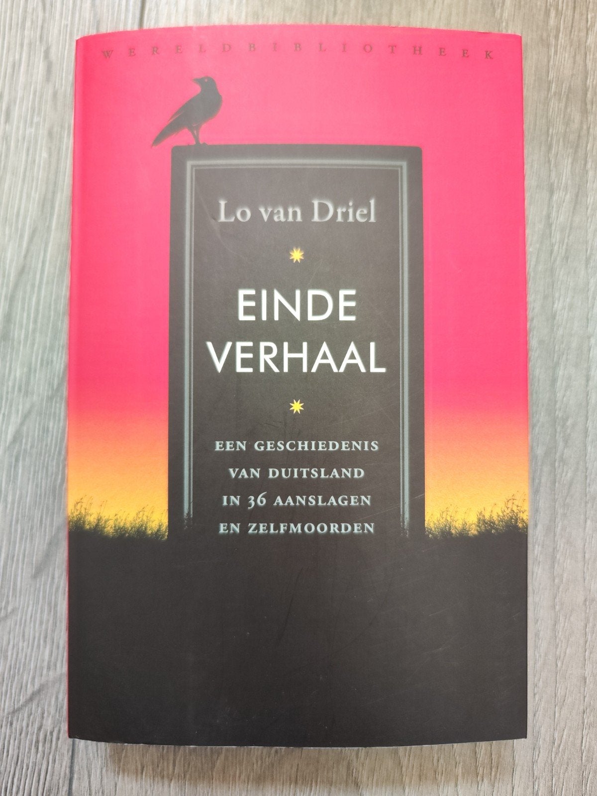 Einde verhaal – Lo van Driel | Duitse Geschiedenis, Ophalen of Verzenden, Zo goed als nieuw, Lo van Driel