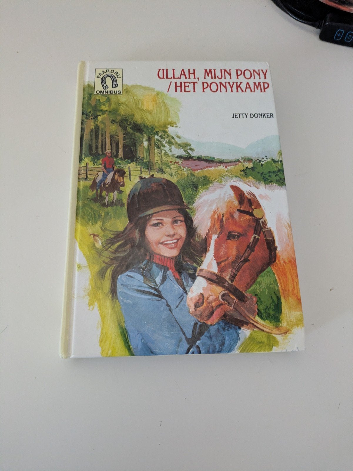 2 paarden boeken in 1, Ophalen of Verzenden, Zo goed als nieuw