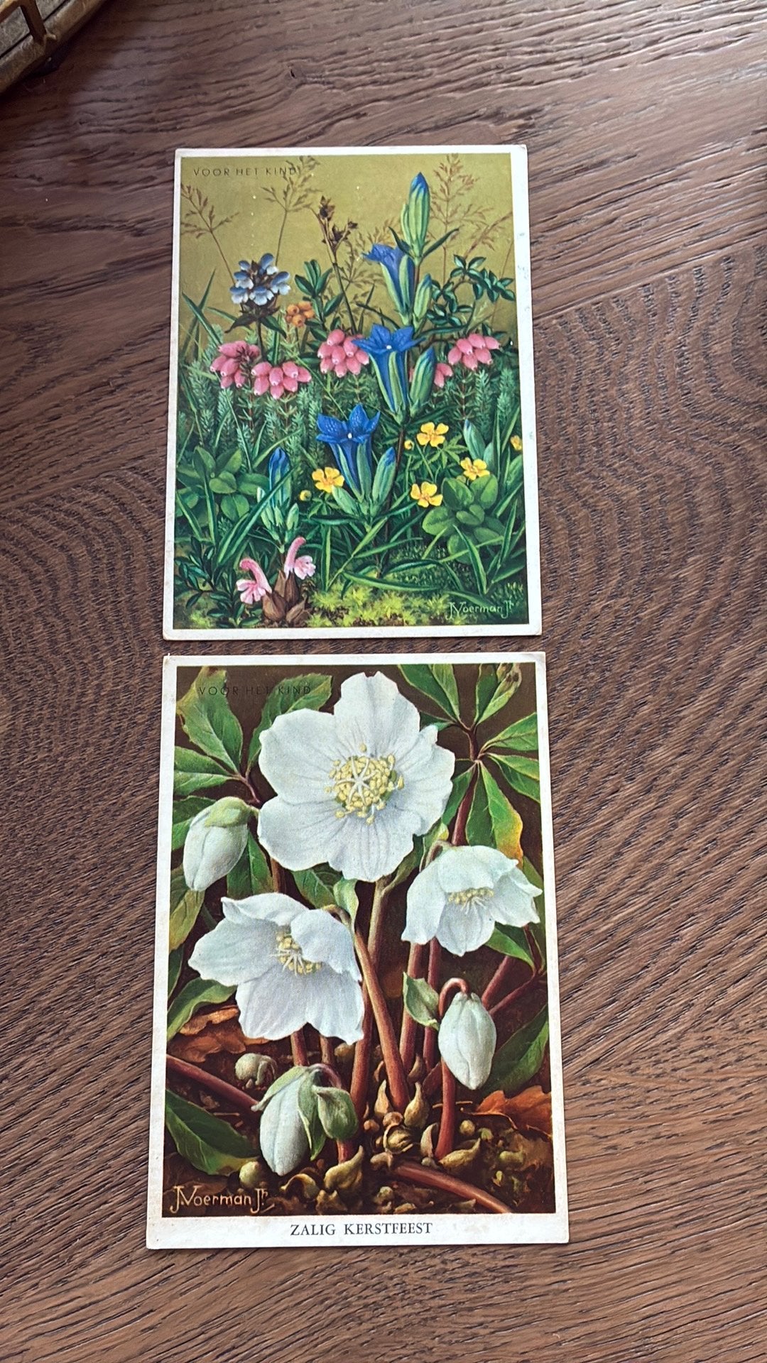 J. VOERMAN Jr. Bloemen. Voor het kind, Ophalen of Verzenden