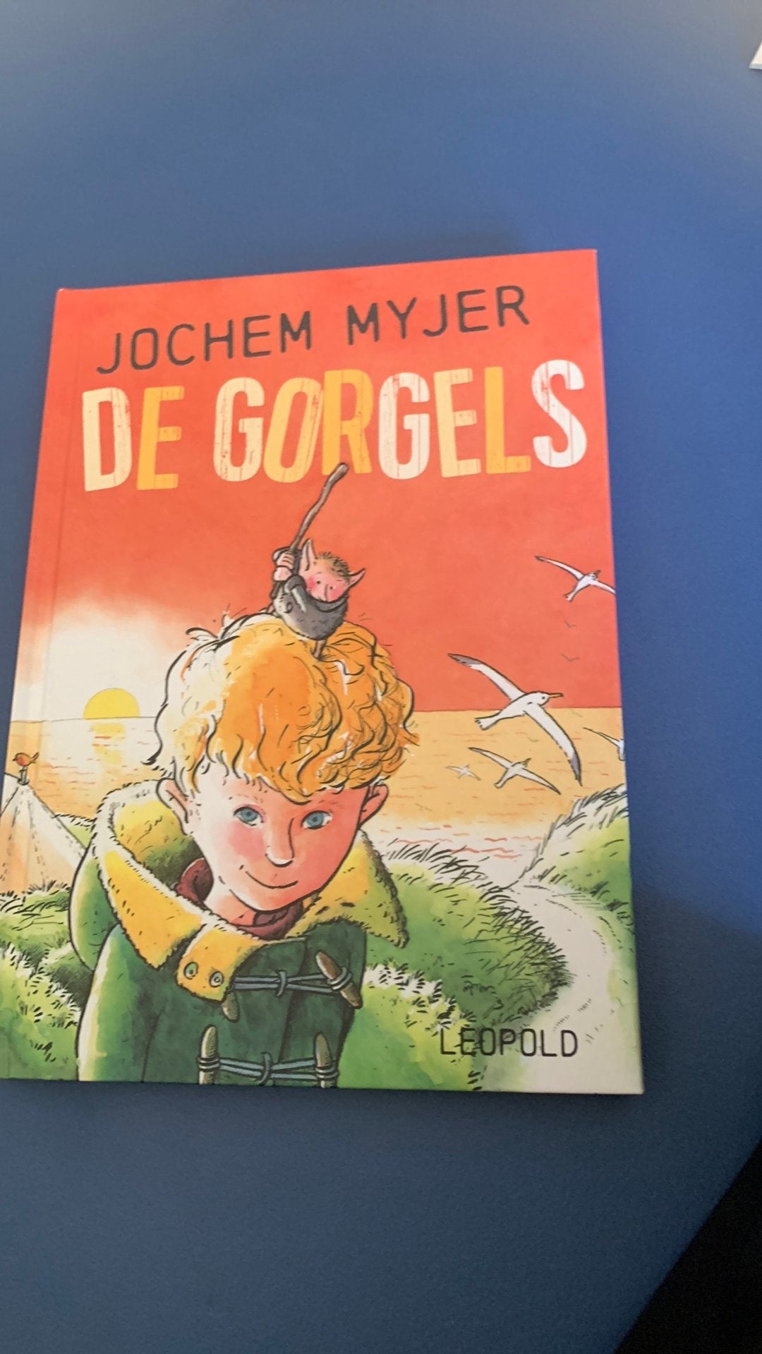 Gorgel, Ophalen of Verzenden, Zo goed als nieuw, Fictie algemeen