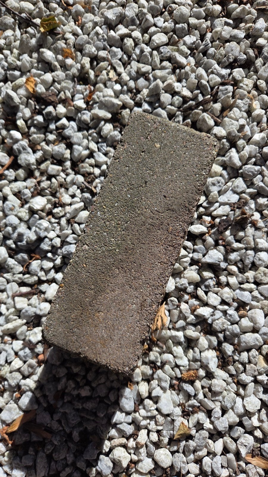 Gratis af te halen: Straatklinkers 21x8x7 (ca. 10 m2), Ophalen, Gebruikt, Beton, Klinkers