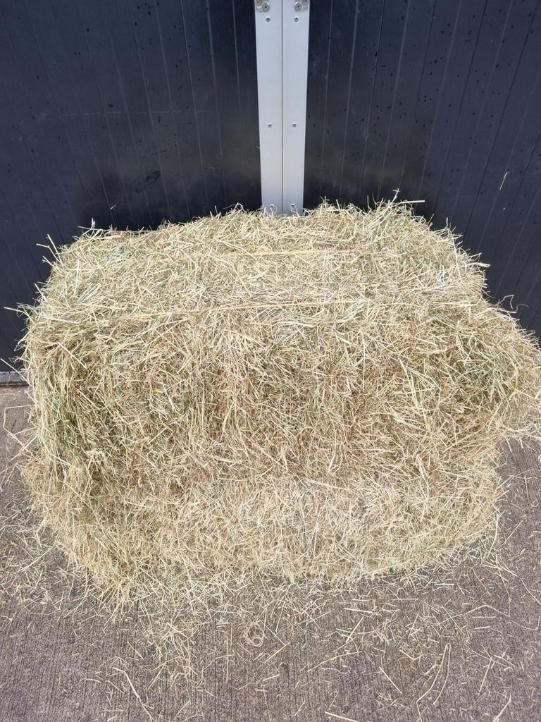 Kleine baaltjes hooi te koop., Ophalen, Vee