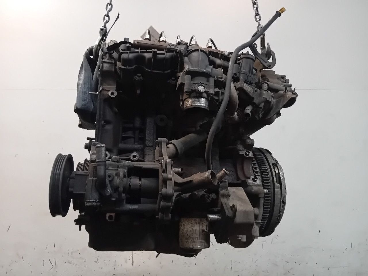 Motor Ford Transit, Onderdelen@venauto.nl, Van der Ven Autorecycling B.V., Gebruikt, Ettenseweg 76, 4706 PB Roosendaal, The Netherlands