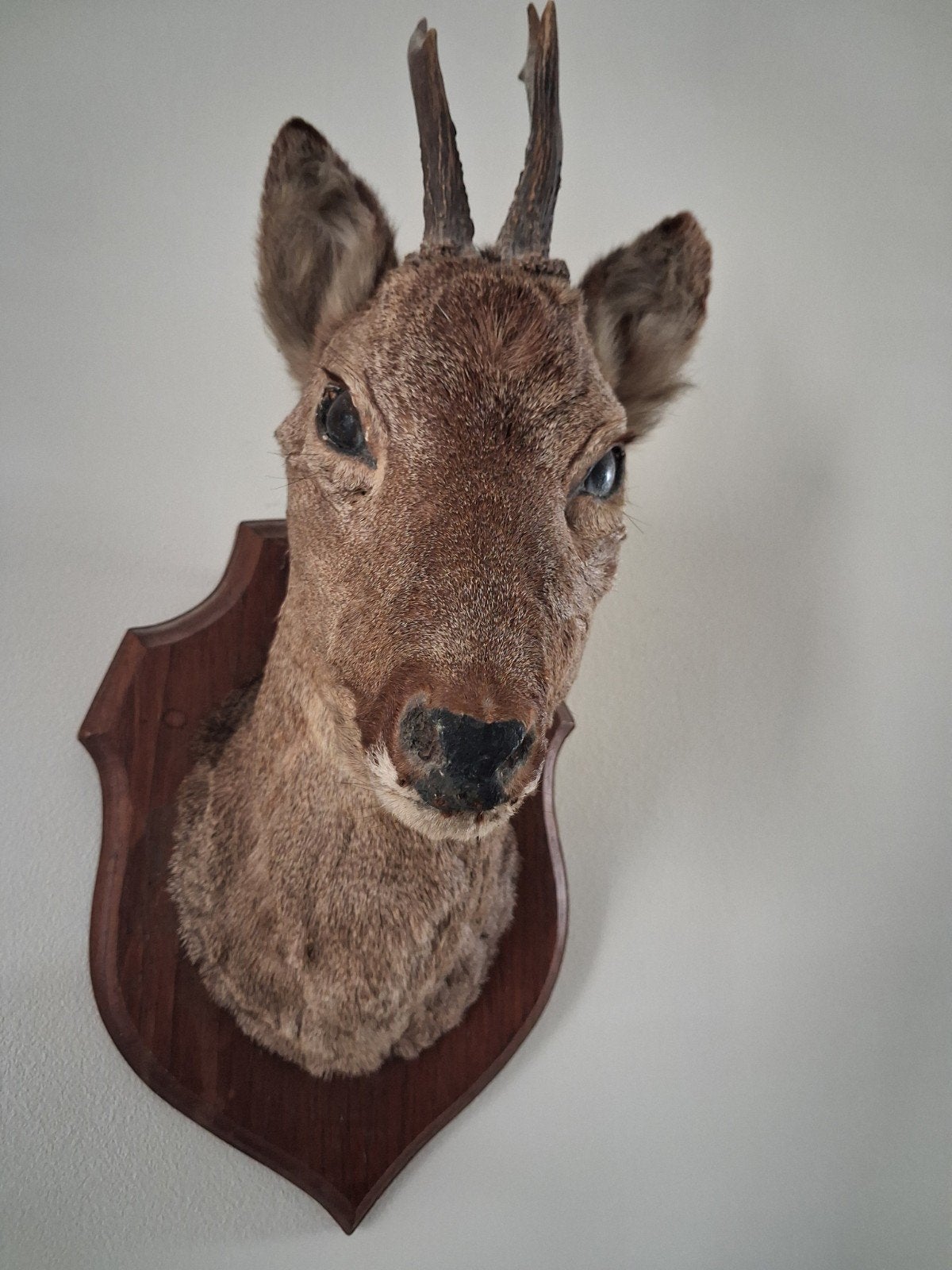 herten kopje, Ophalen of Verzenden, Zo goed als nieuw, Paard, Beeldje of Figuurtje