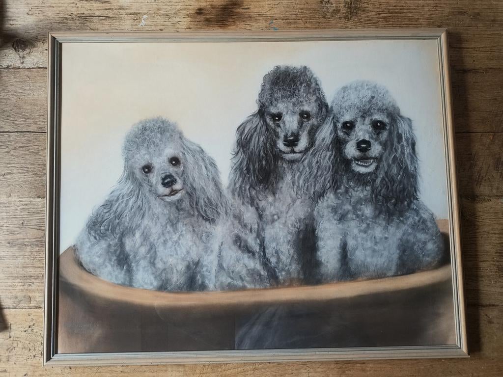 Pastel tekening drie poedels in mand Bert van der Wal 1989, Antiek en Kunst, Ophalen of Verzenden