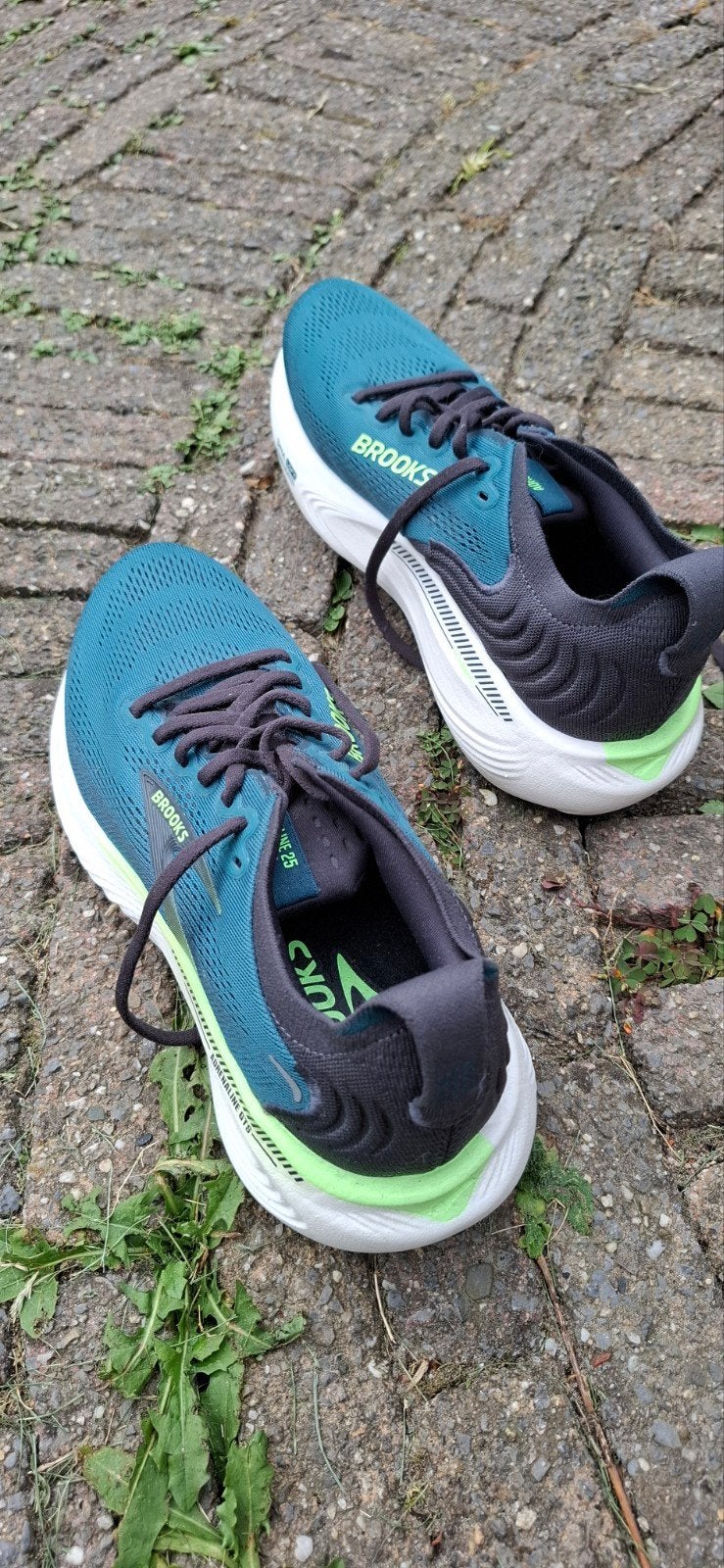 Damloop 2026 startbewijs, Ophalen, Zo goed als nieuw, Hardlopen, Hardloopschoenen