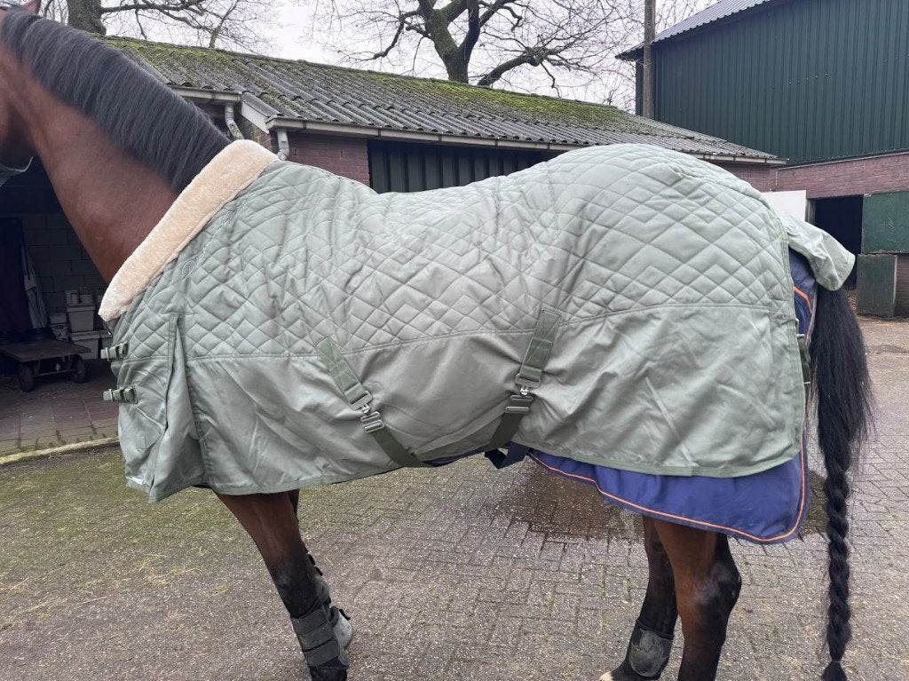Stal (Show)deken Eskadron platinum, XL (niet gebruikt), Dieren en Toebehoren, Extra Full (XL), Ophalen of Verzenden, Schoftbescherming