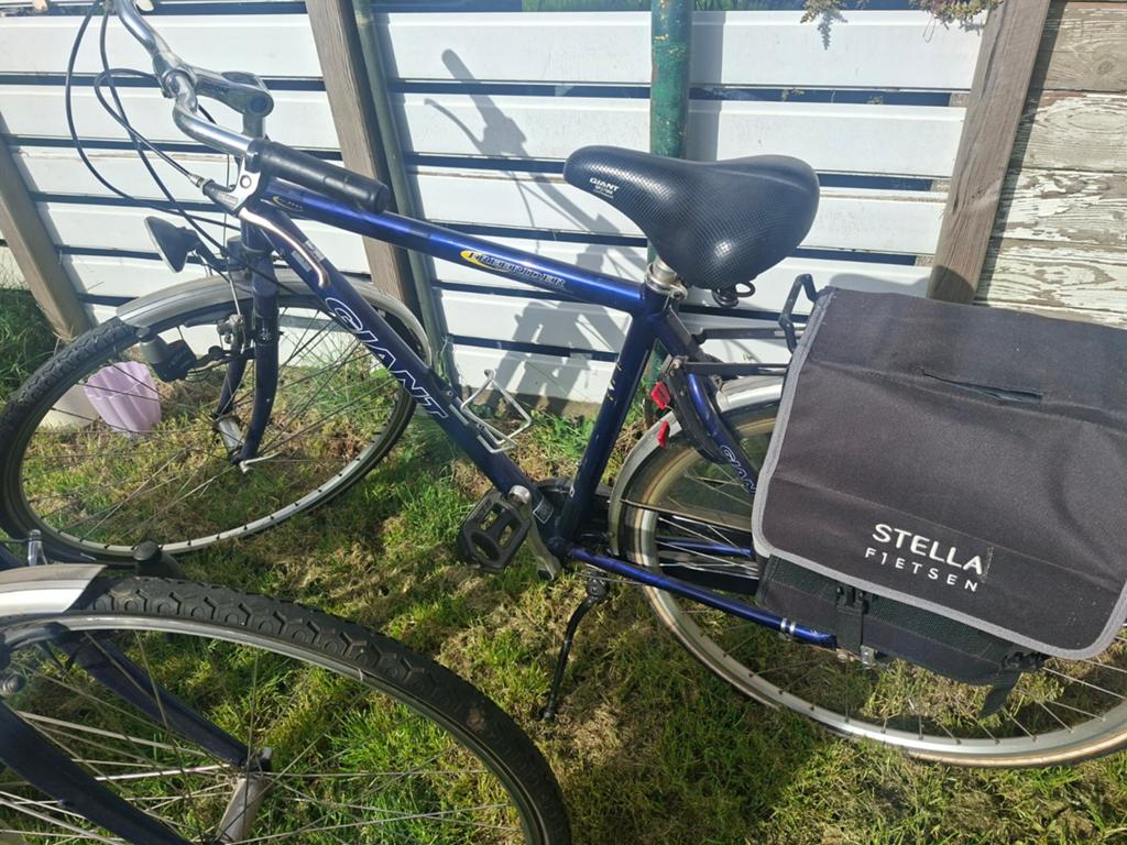 2x Giant Freerider Dames- en Herenfietsen, Ophalen, Gebruikt, Versnellingen, 56 cm of meer
