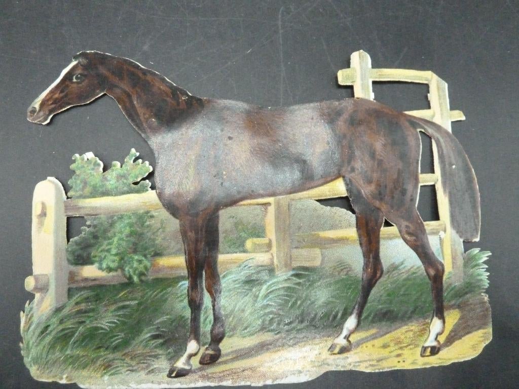 Antiek poëzieplaatje paard, Ophalen of Verzenden