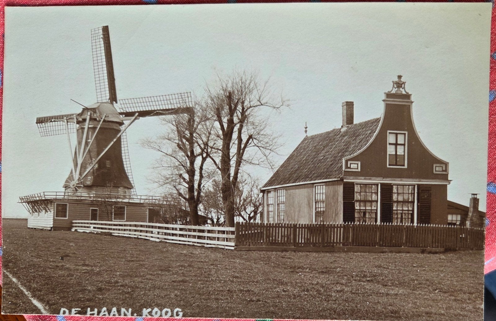 Koog aan de Zaan molen de Haan fotokaart, Verzamelen, Foto's en Prenten, Ophalen of Verzenden, Voor 1940, Zo goed als nieuw