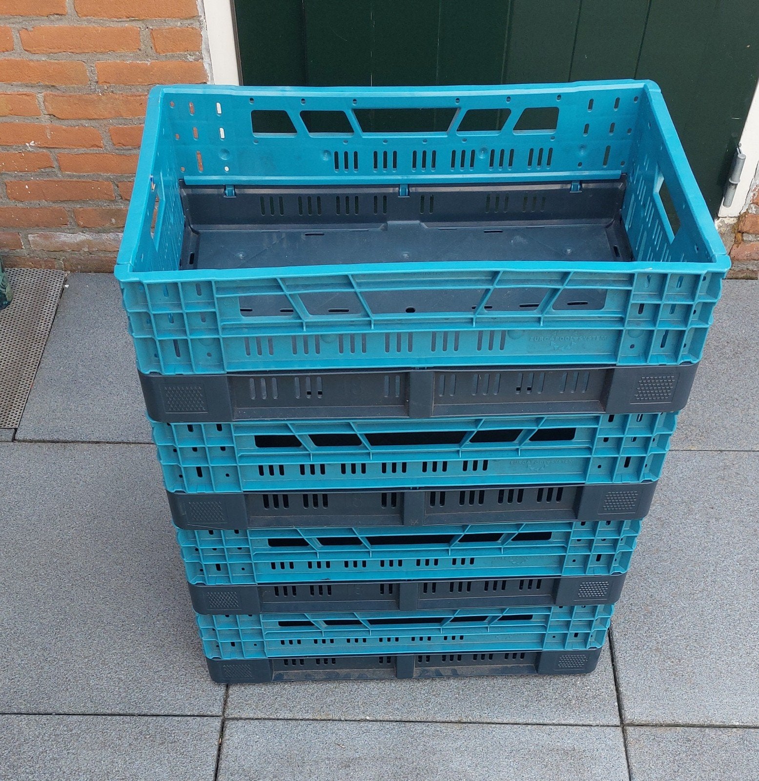 VEILING KRATTEN, Ophalen, 40 tot 60 cm, 50 tot 75 cm, Minder dan 35 cm