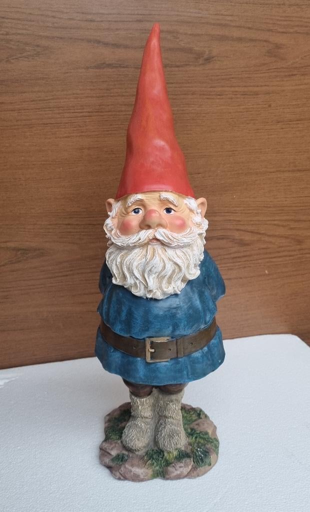 David de kabouter / Rien Poortvliet, Ophalen of Verzenden, Gebruikt, Overige typen