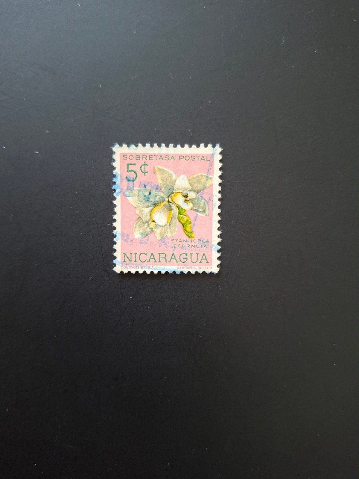 Nicaragua.  Bloemen., Ophalen of Verzenden, Dier of Natuur