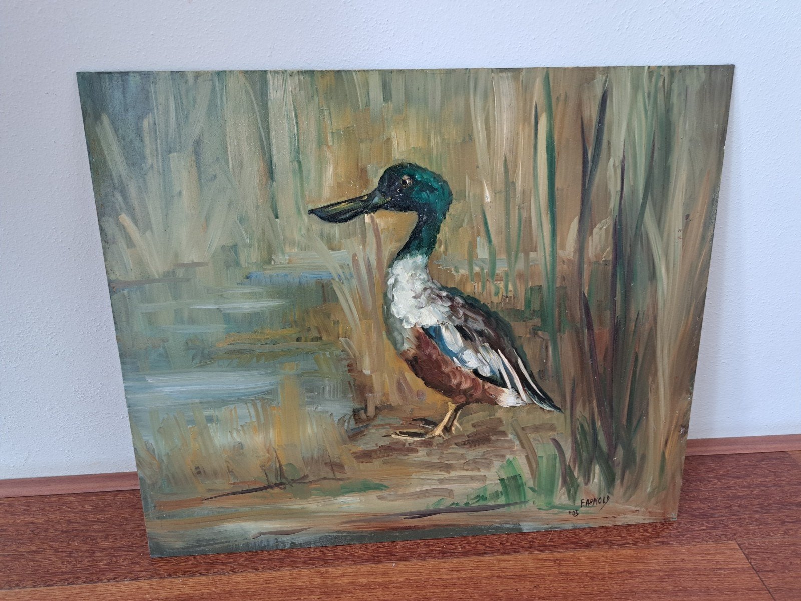 Schilderij van een eend door M.F. Arnold-de Meutter, Antiek en Kunst, Origineel werk, Doek, Realistisch, Dieren