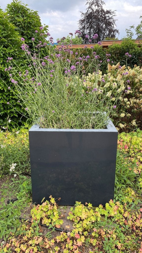 Adezz polyester plantenbakken, Tuin en Terras, Bloembakken en Plantenbakken, Ophalen, Kunststof, Gebruikt, Vierkant