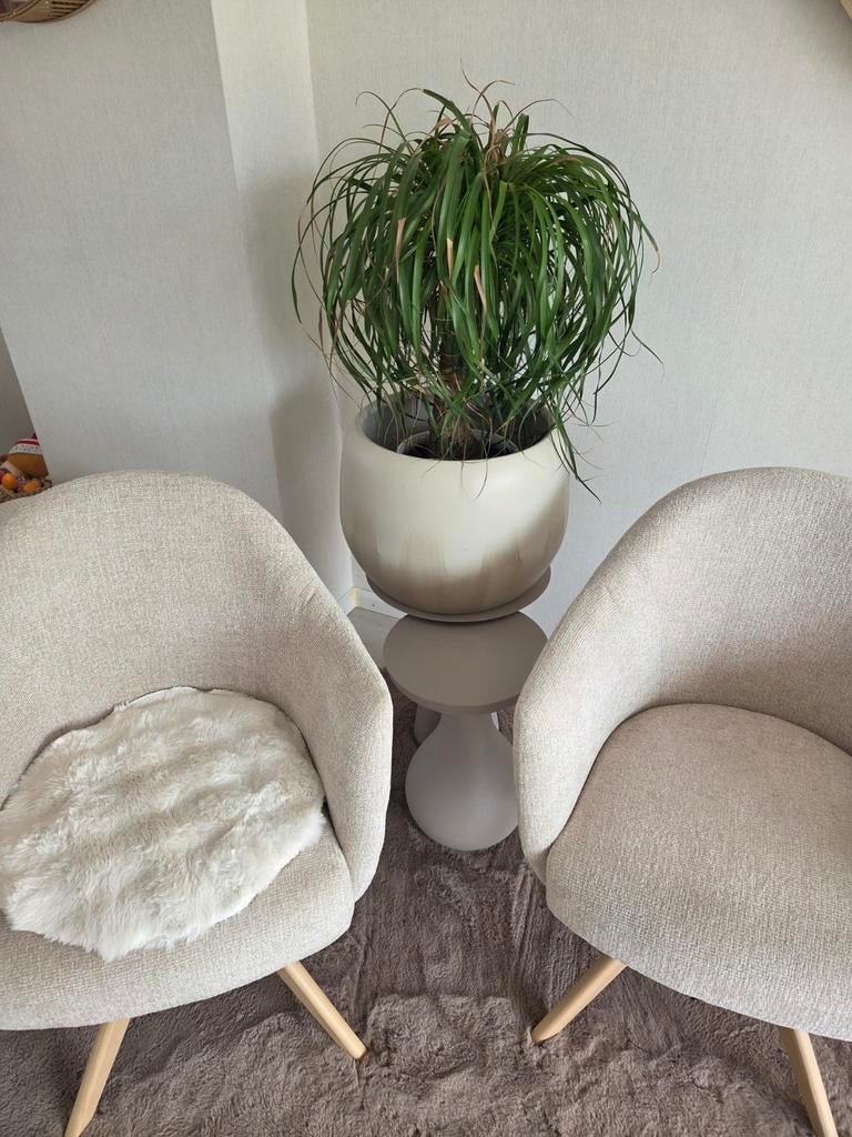 Zgan beige bloempot van Intratuin, Ophalen