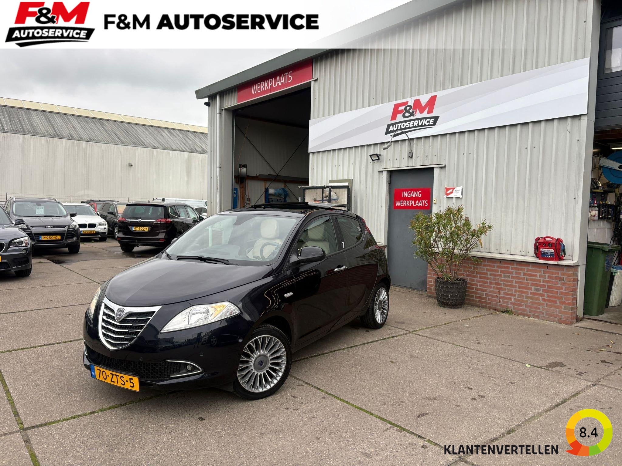 Lancia Ypsilon 0.9 TwinAir Platinum Airco, cruise, pano, pdc, Voorwielaandrijving, Euro 5, 86 pk, Gebruikt