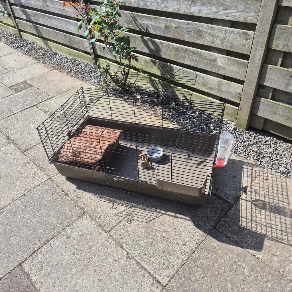 Mooi compleet konijnenhok, Ophalen, 110 cm of meer, Zo goed als nieuw, 90 cm of meer