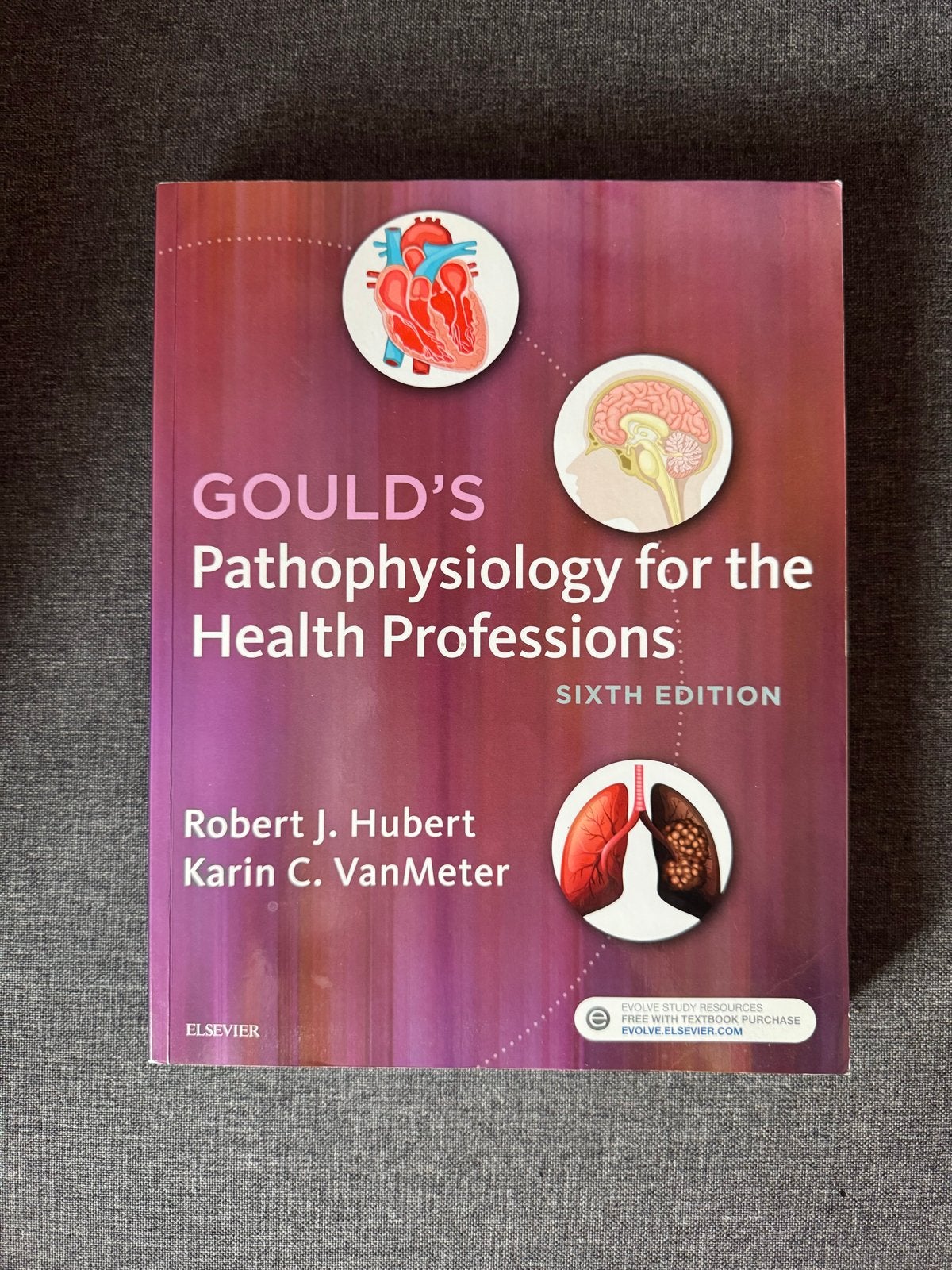 Gould's Pathophysiology for the Health Professions, Ophalen of Verzenden, Beta, Zo goed als nieuw, HBO