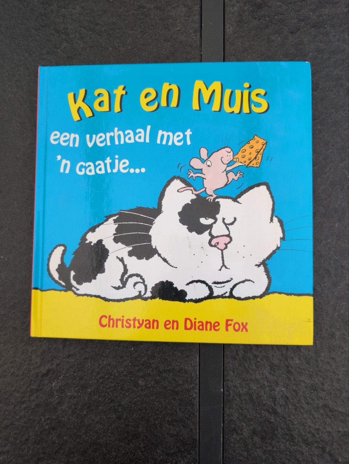 Kat en Muis: Een verhaal met 'n gaatje, Boeken, Ophalen of Verzenden