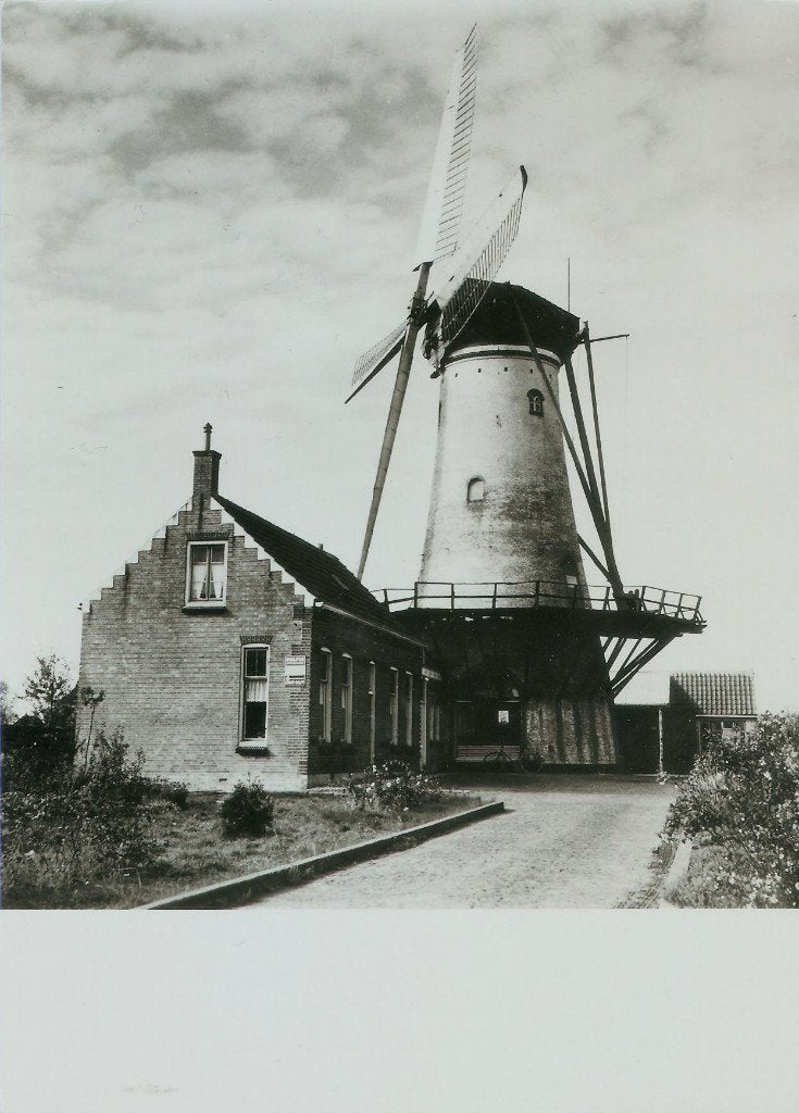 Poortvliet molen De Graanhalm groot formaat ca. 1980, Ophalen of Verzenden, 1960 tot 1980, Ongelopen, Zeeland