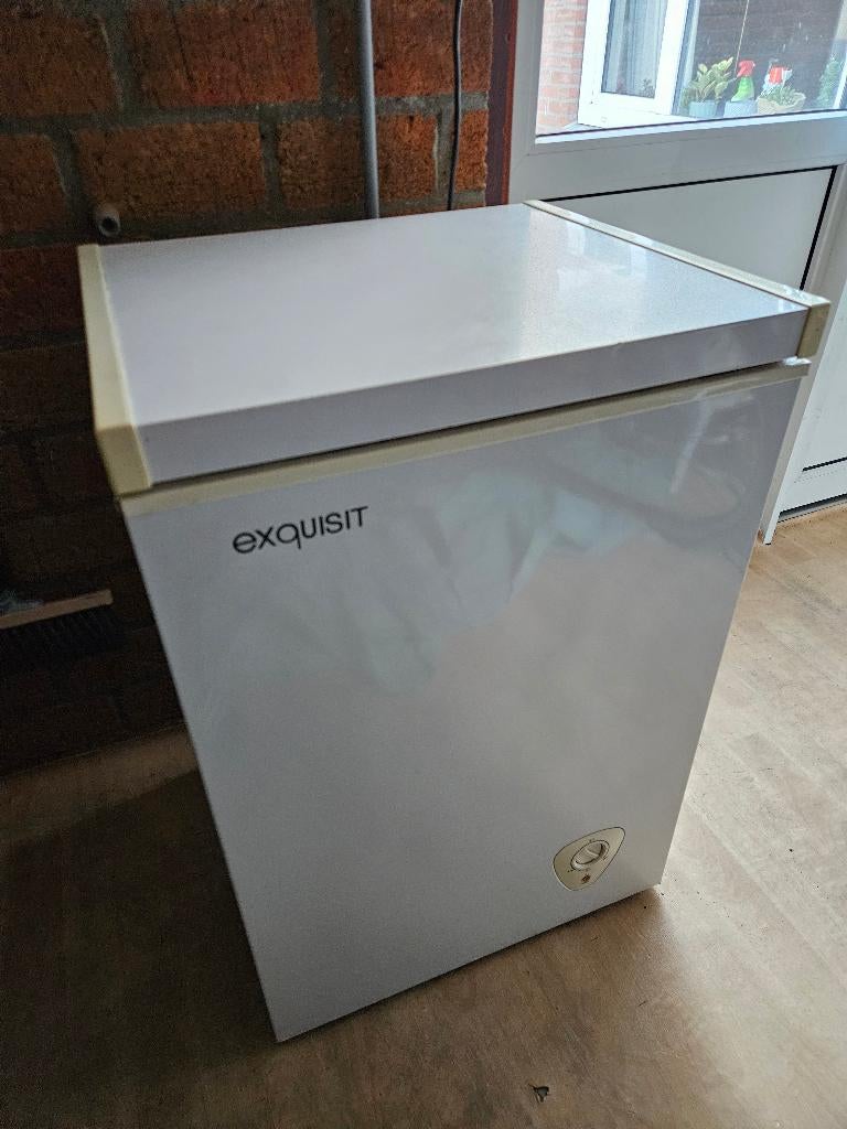 Exquisit vrieskist, Witgoed en Apparatuur, Vriezers en Diepvrieskisten, Ophalen, Vrieskist, Gebruikt, Minder dan 85 cm