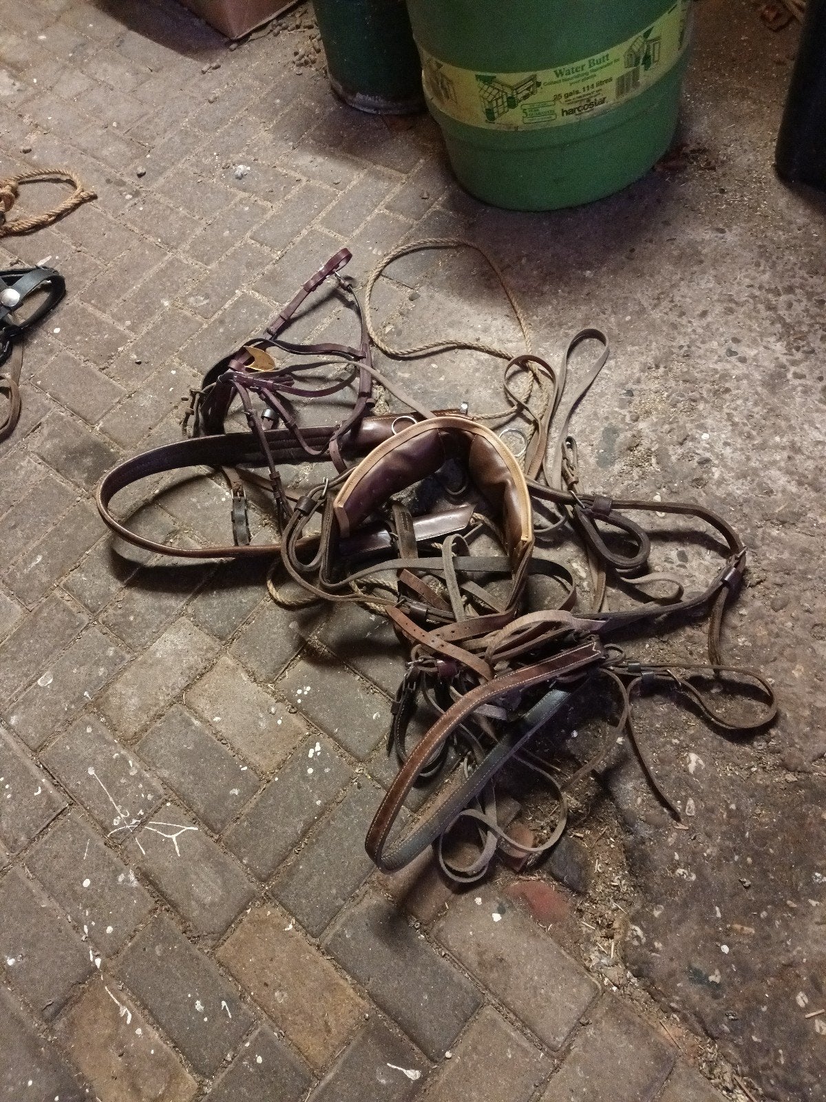 Te koop, Ophalen, Bruin, Pony