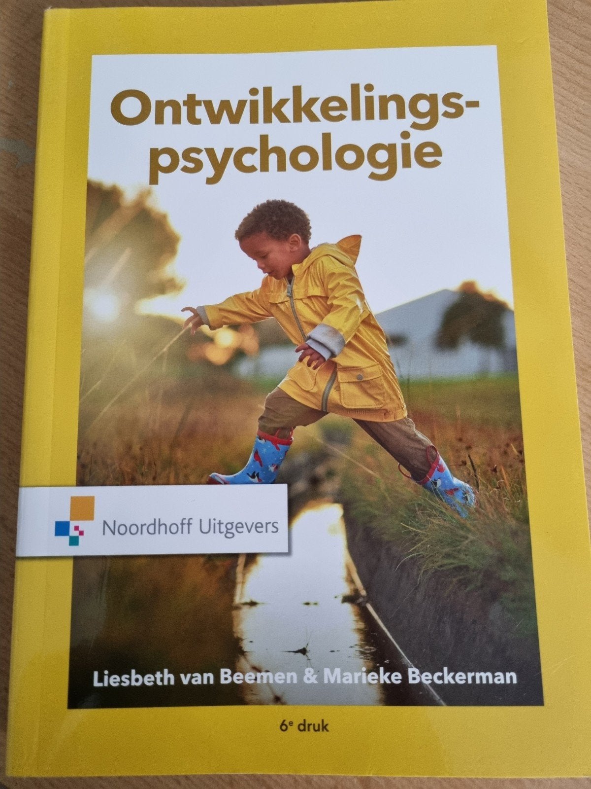 Ontwikkelingspsychologie - Liesbeth van Beemen, Liesbeth van Beemen & Marieke Beckerman, Zo goed als nieuw, Gamma, HBO