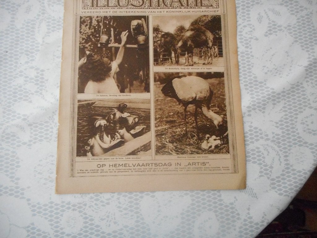 Artis. Hemelvaartsdag. 1923., Verzamelen, Ophalen of Verzenden, 1920 tot 1940, Nederland, Knipsel(s)