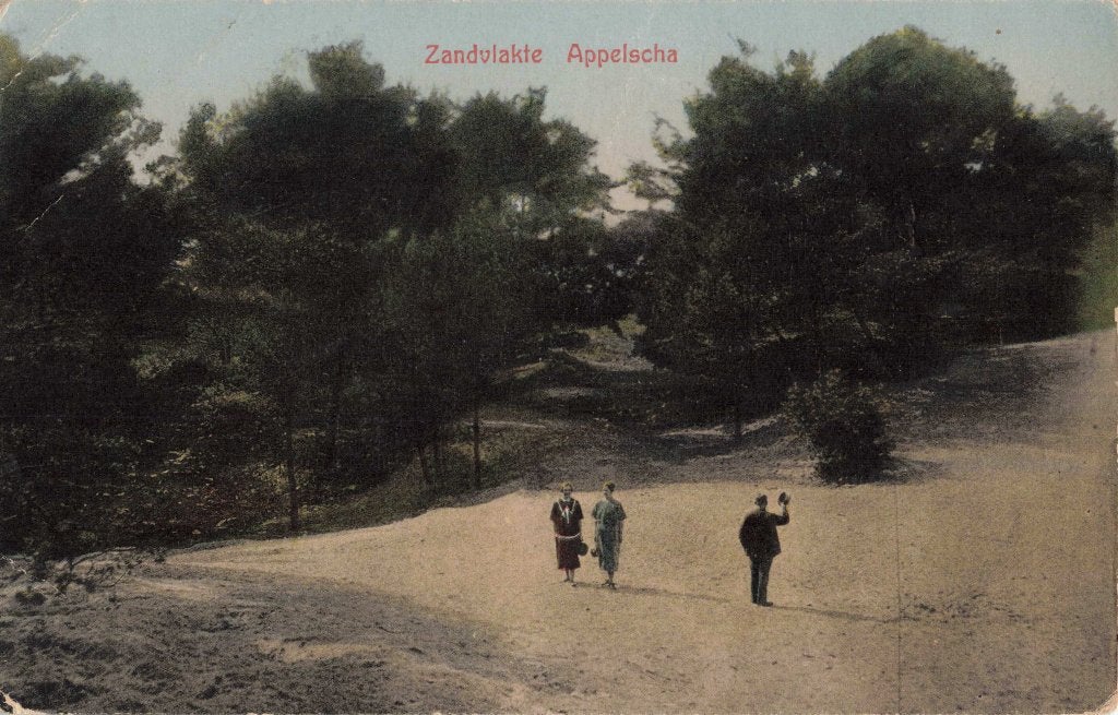 Appelscha Zandvlakte L2873, Ophalen, 1920 tot 1940, Ongelopen, Friesland