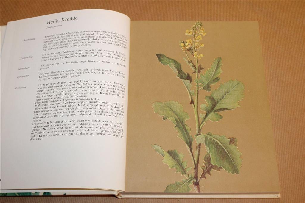 Elseviers Gids Wilde Groenten — Herkennen & Bereiden, Ophalen of Verzenden, Gelezen, Bloemen, Planten en Bomen