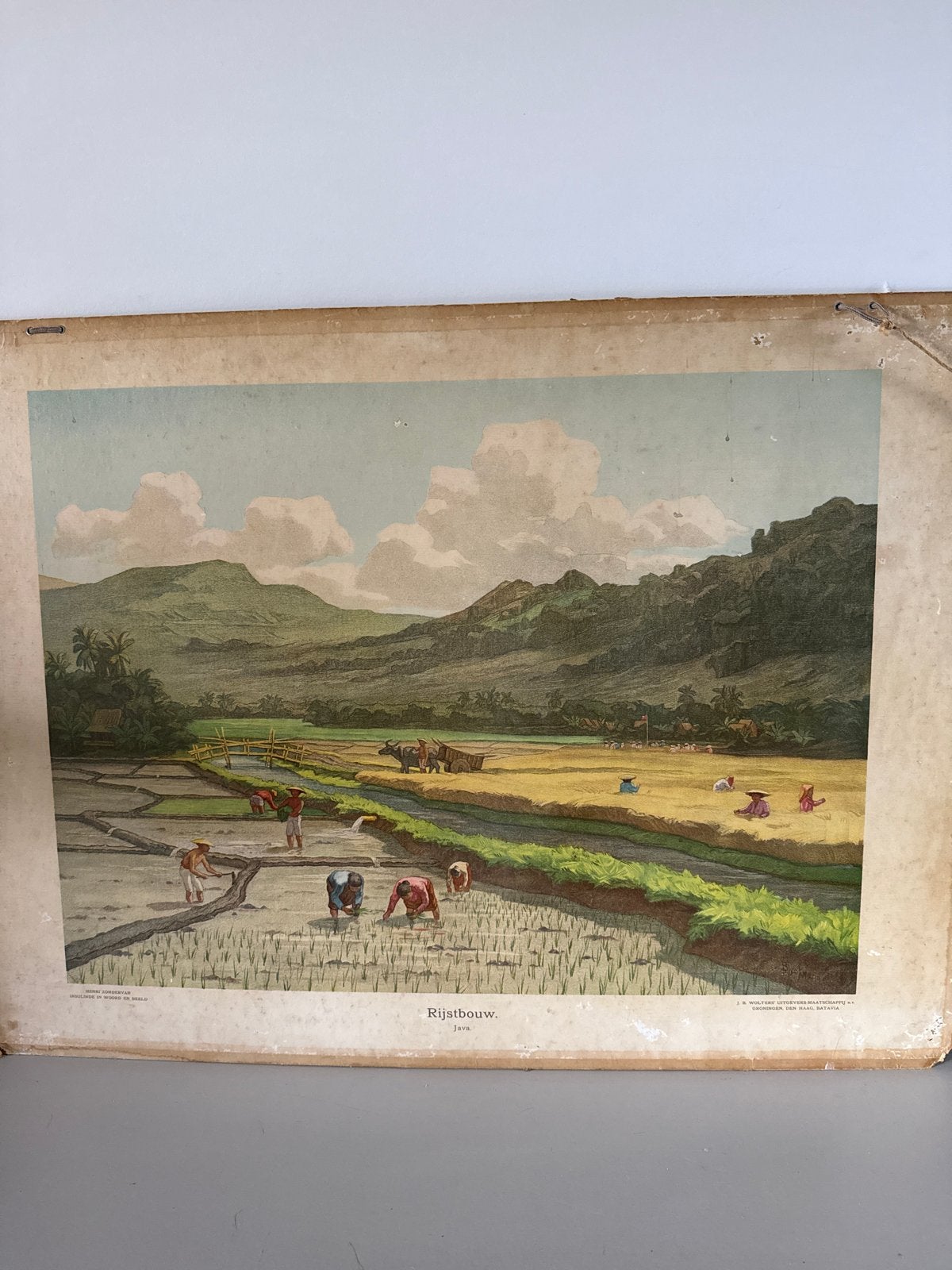 Antieke schoolplaat 'Rijstbouw. Java.' - J.B. Wolters, Antiek en Kunst, Ophalen, Aardrijkskunde