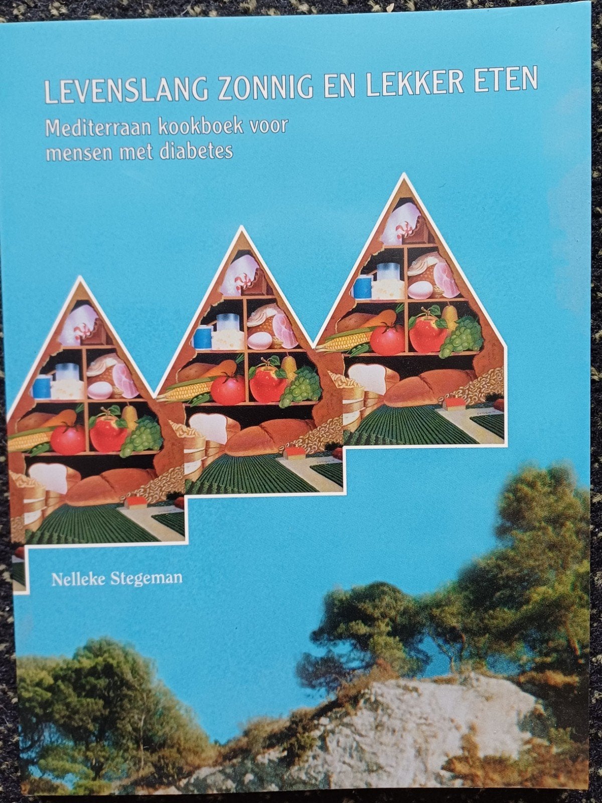 Levenslang zonnig en lekker eten - Mediterraan kookboek, Dieet en Voeding, Ophalen of Verzenden, Zo goed als nieuw, Nelleke Stegeman