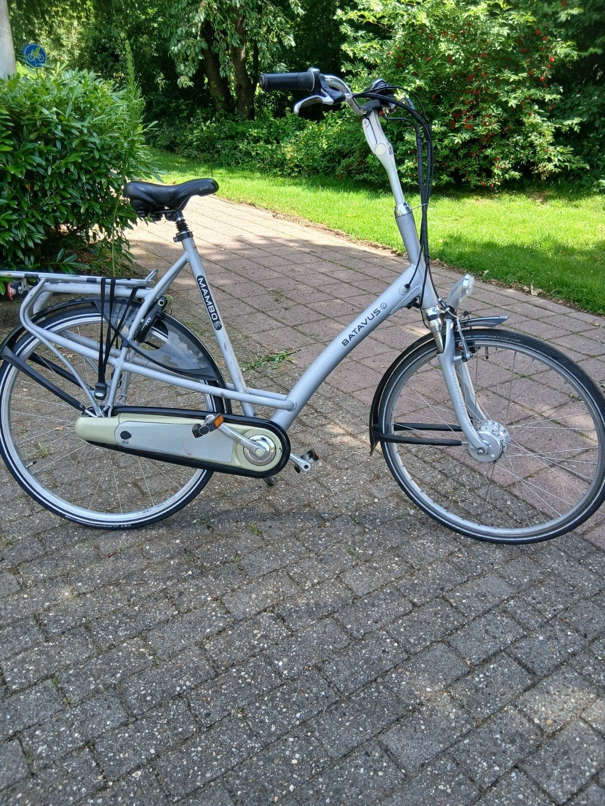 Elektrische Batavus Mambo E-bike - Frame 68cm, Gebruikt, Batavus, Ophalen of Verzenden, 59 cm of meer